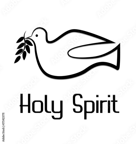 Holy spirit dove icon vector