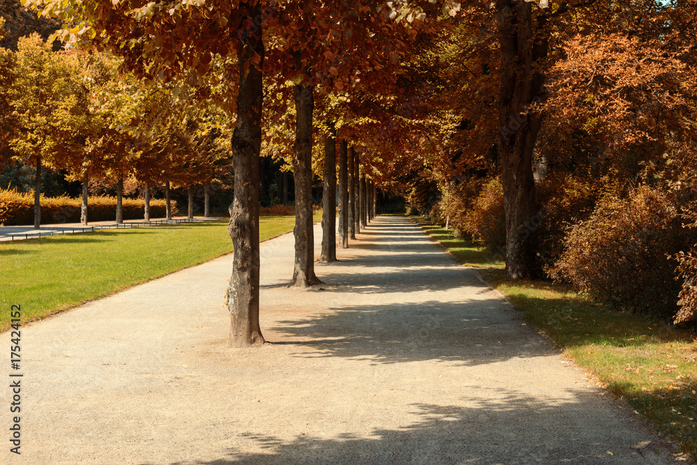 Empty alley in the autumn Park.