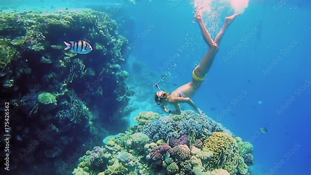 Beautiful woman dive underwater in snorkeling diving mask into clear blue sea water. Tropical underwater reef diving. Woman with a good figure slow motion shot.