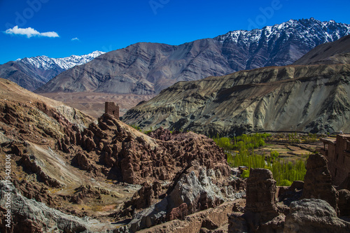 View of Ladakh scene forest with mountain background