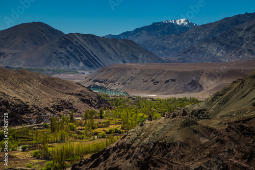 View of Ladakh scene forest with mountain background