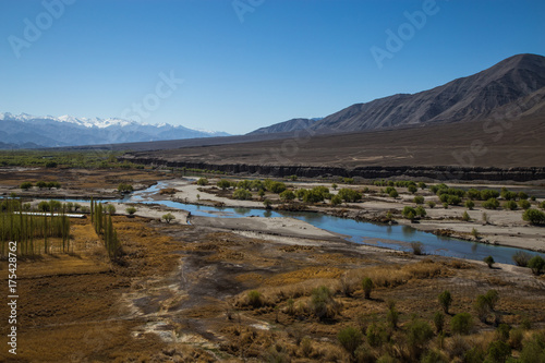 View of Ladakh scene forest with mountain background
