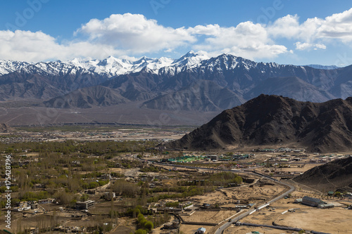 View of Ladakh scene forest with mountain background