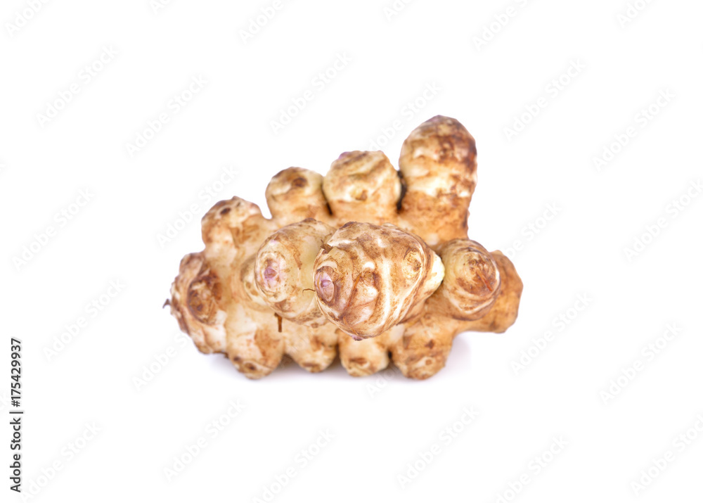 whole fresh Jerusalem Artichoke on white background whole fresh Jerusalem Artichoke on white background