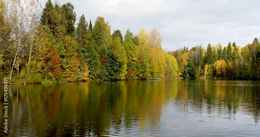 Autumn. Bright autumn forest near the pond.
Autumn. Bright autumn forest near the pond.