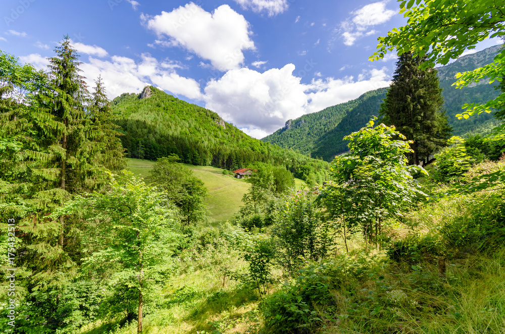 Obraz premium Urlaubsregion Bayern, Berge, grün