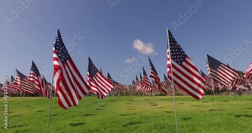Set of American flags fluttering in the wind on the Memorial Day. Los Angeles, California, USA.