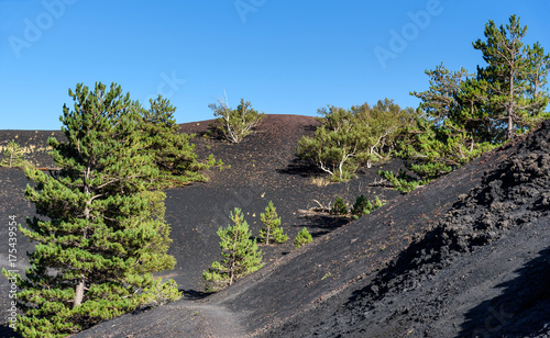 Tablou pe pânză volcano Etna, mount Sartorius, sicily, italy, the eruptive cones of 1865