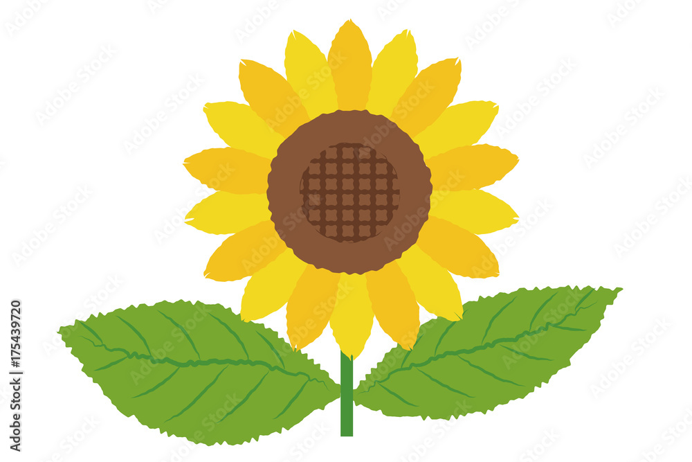 ひまわりのイラスト ベクターデータ Sunflower Illustration Stock Vector Adobe Stock