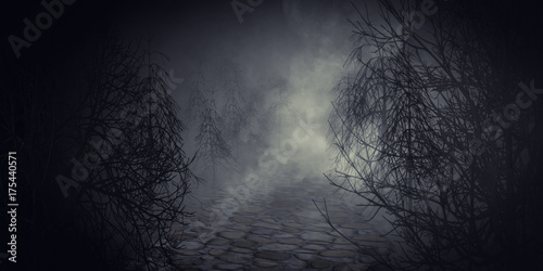Jack O' lantern or halloween pumpkin in spooky dark forest.3d rendering. photo
