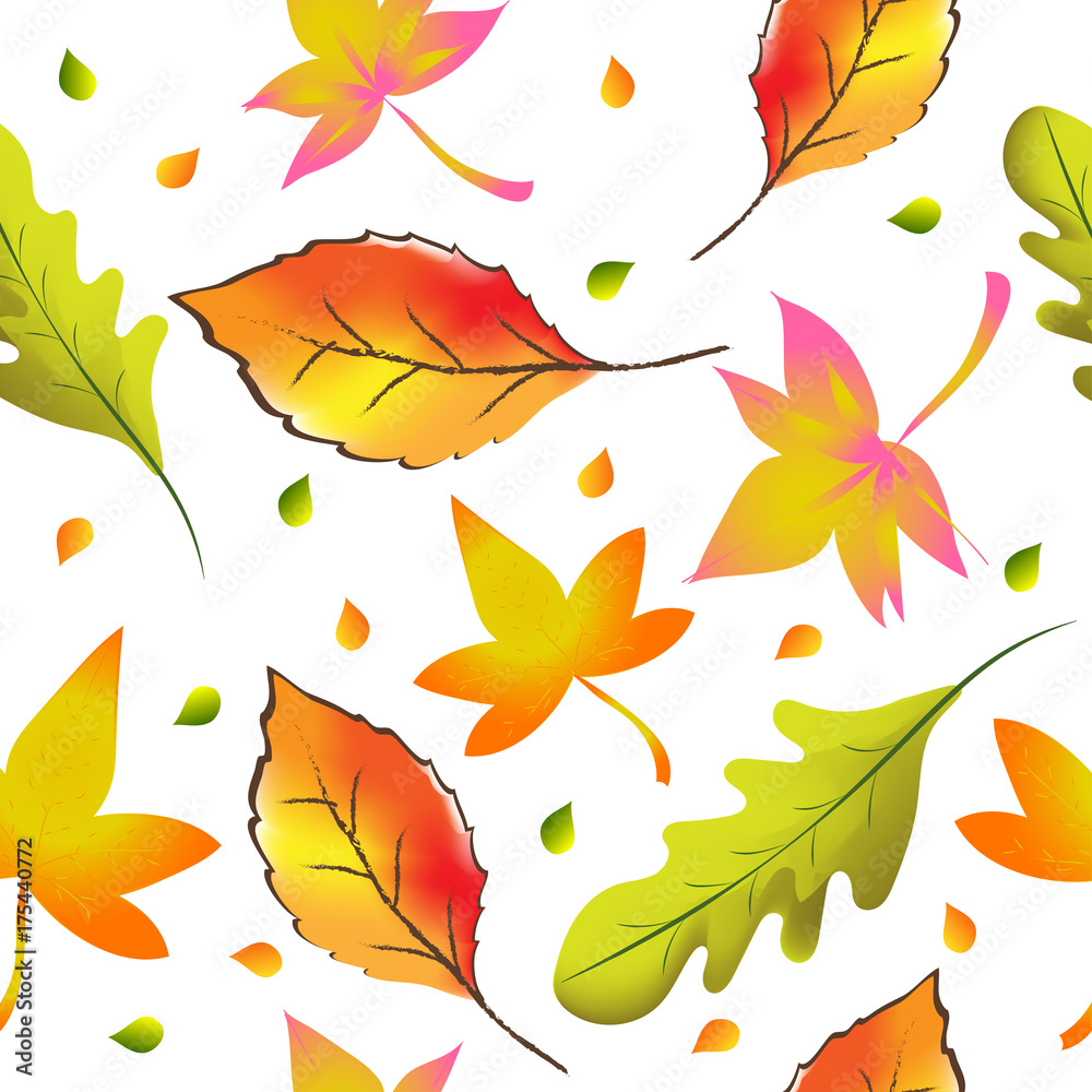 Vector and illustration seamless pattern of autumn fallen leaves, red, orange, yellow and green color leaves