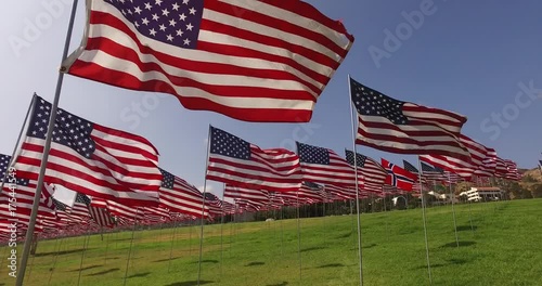 Set of American flags fluttering in the wind on the Memorial Day. Los Angeles, California, USA.