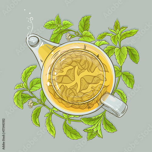 stevia tea illustration