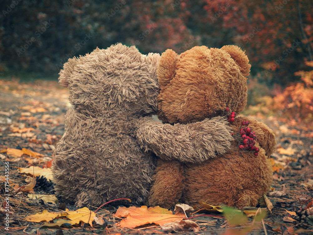 Two Teddy bear hugging each other and looking at the autumn forest - obrazy, fototapety, plakaty 