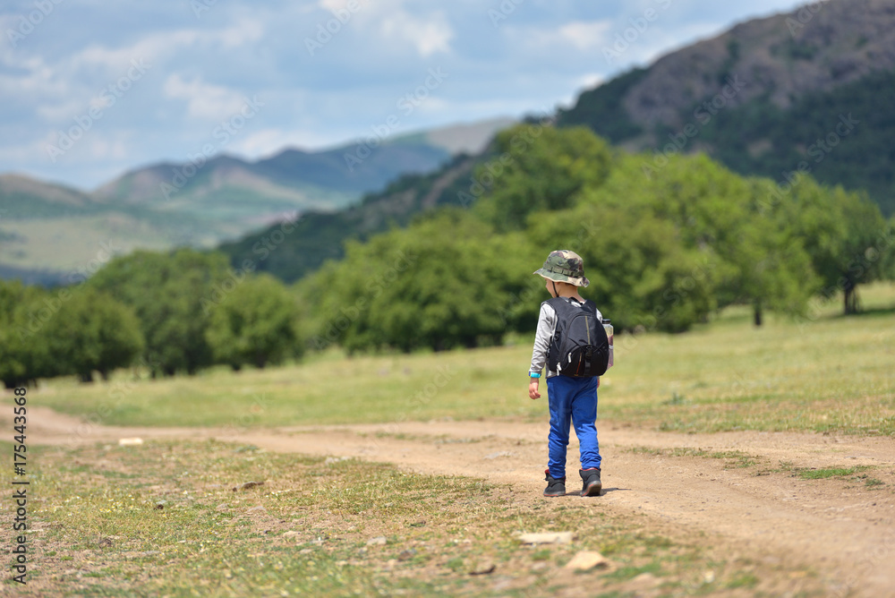 Cute child boy with backpack walking on a little path in mountains. Hiking kid