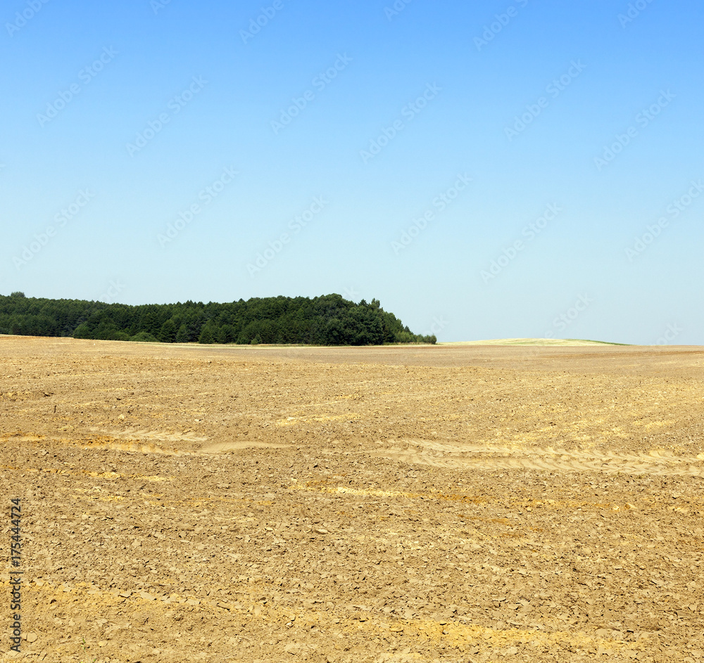 Plowed soil, a field