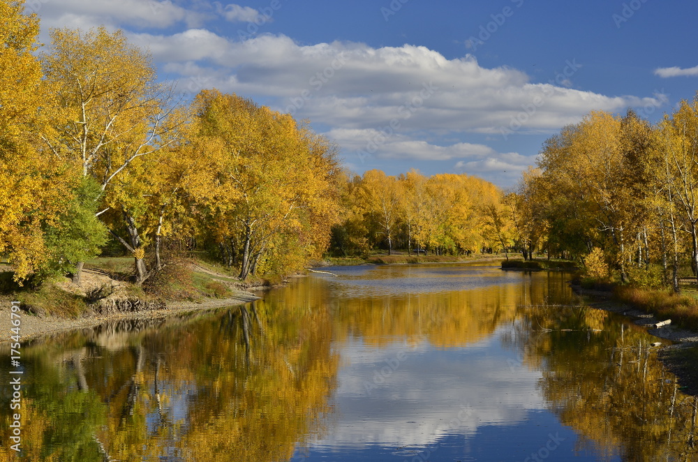 nature landscape