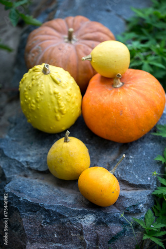 pumpkins on stone
