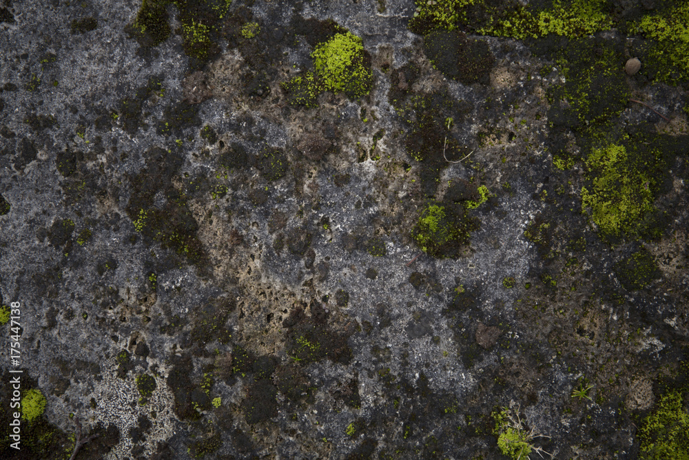 Obraz premium Mossy old rough stone surface texture