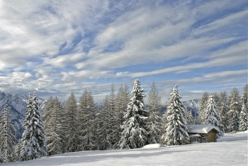 Fototapeta premium Neuschnee in den Bergen