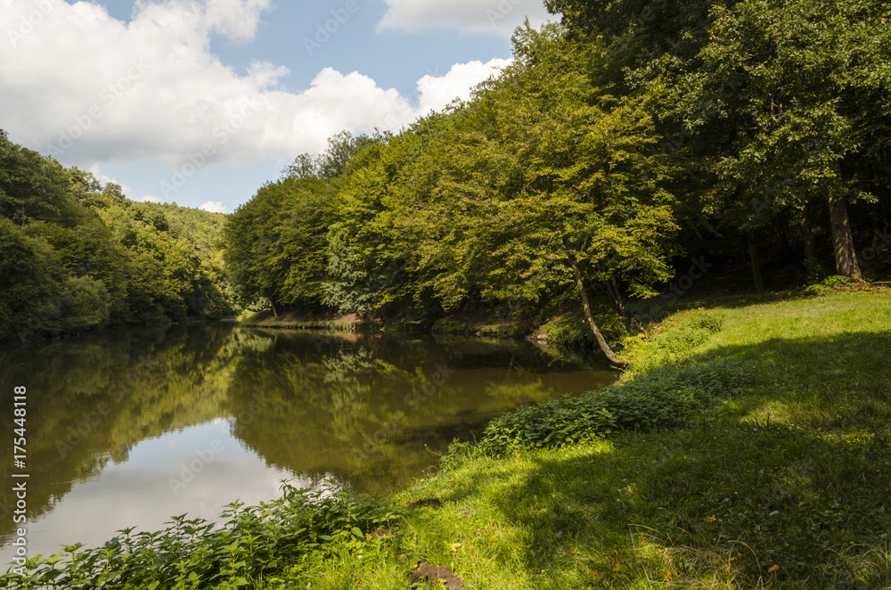 blue sky fishing lake in nature, Hungarian forest blue sky fishing lake in nature, Hungarian forest