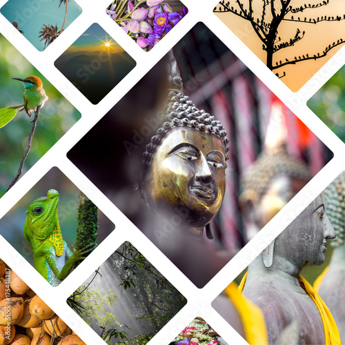Photography Collage of India and Sri Lanka images - travel background