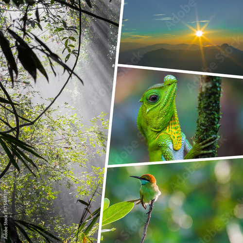Photography Collage of India and Sri Lanka images - travel background