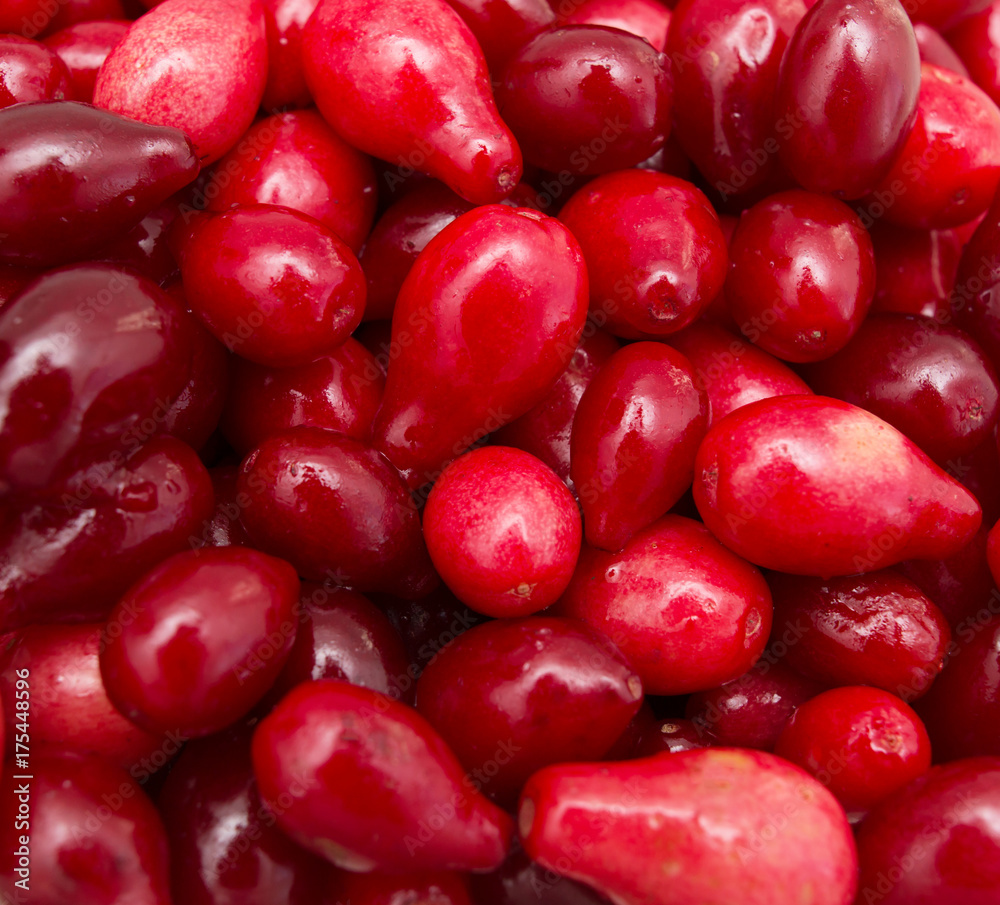 berries berries