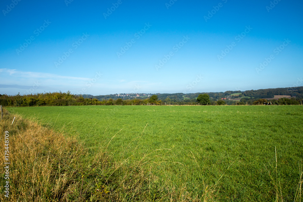 field with blue sky
