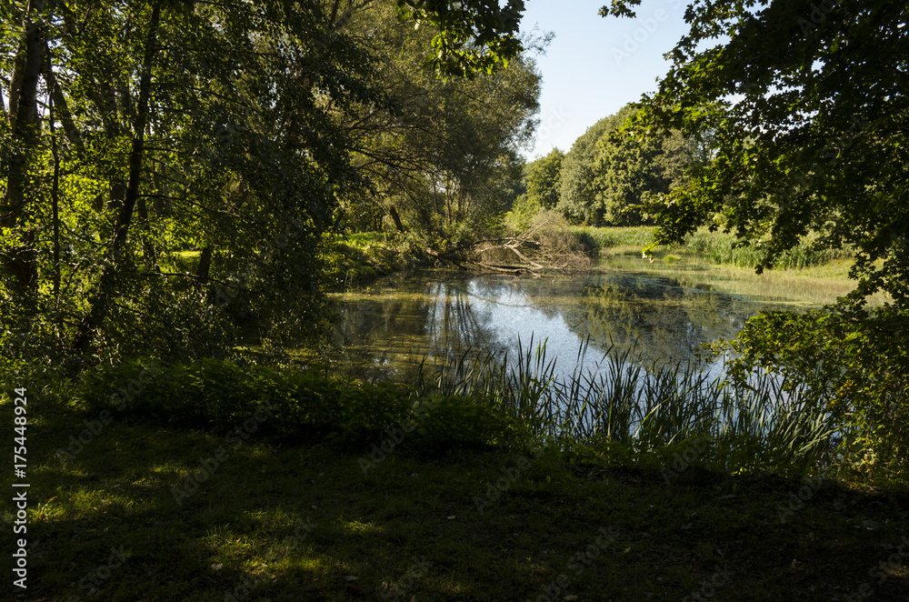 blue sky fishing lake in nature, Hungarian forest blue sky fishing lake in nature, Hungarian forest