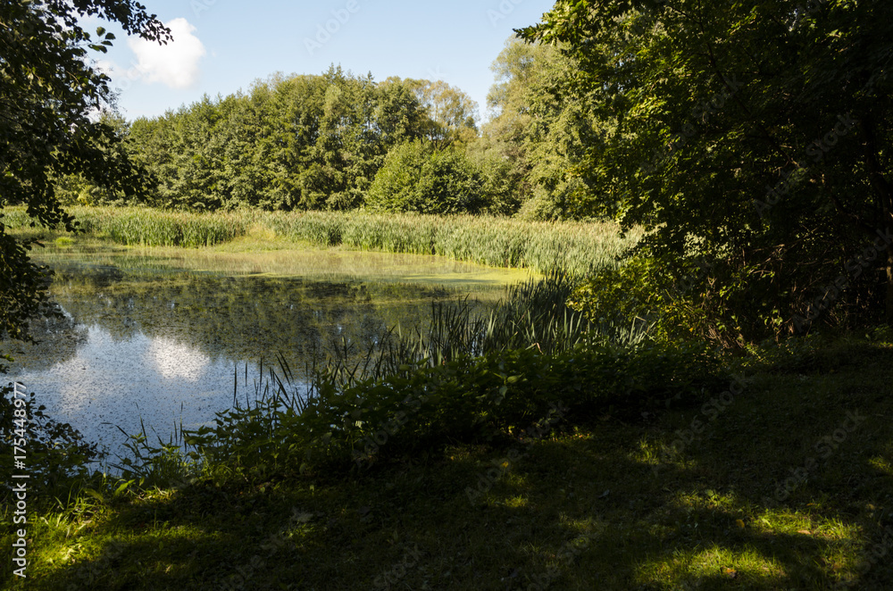 blue sky fishing lake in nature, Hungarian forest blue sky fishing lake in nature, Hungarian forest