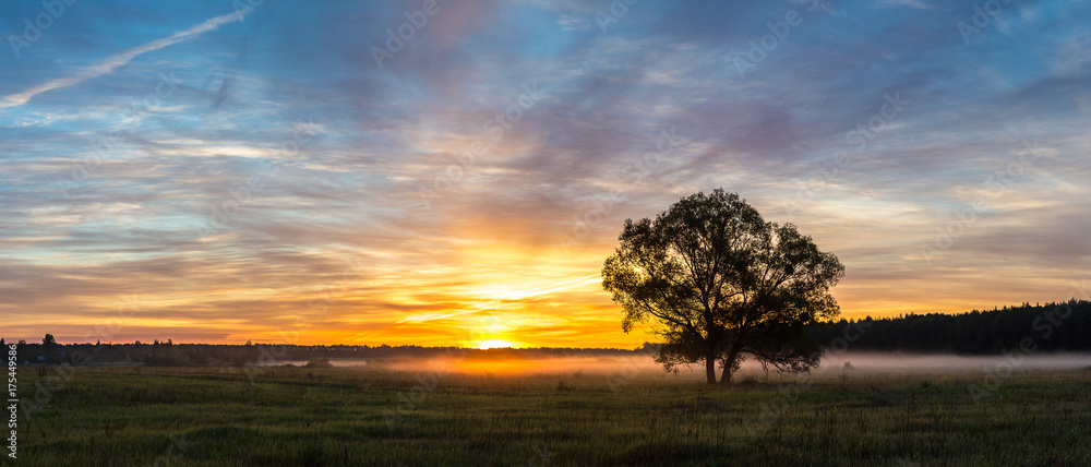 Naklejka premium Sunrise over field and tree