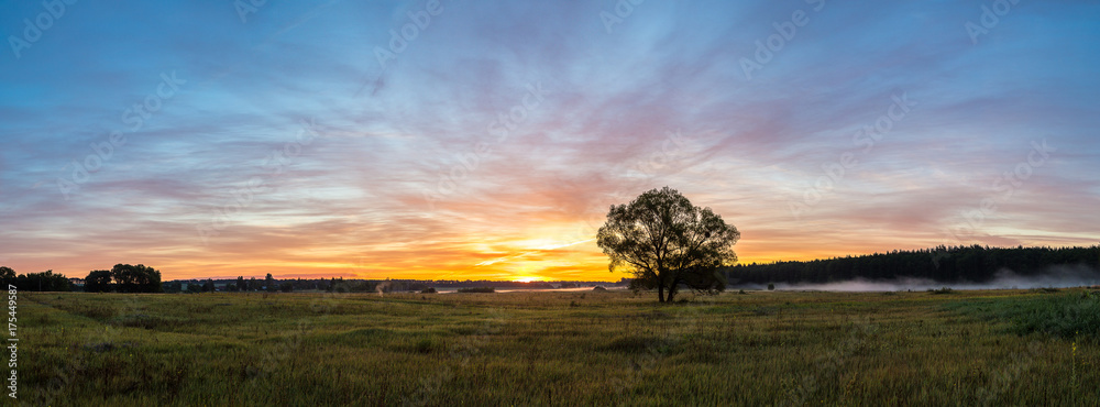 Fototapeta premium Sunrise over field and tree