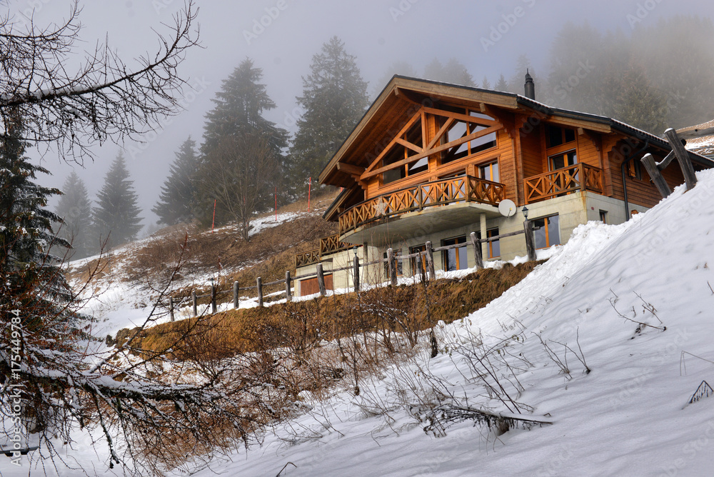 Winter Alpine landscape in the countryside