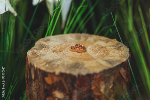 wedding rings on the stump in a green grass
