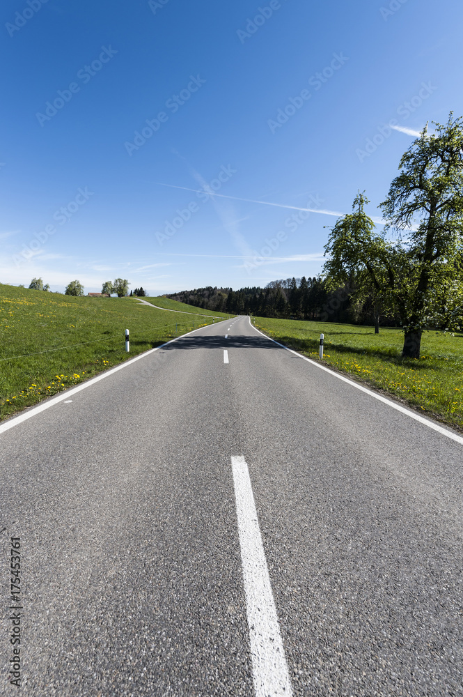 Fototapeta premium Asphalt road between meadows in Switzerland
