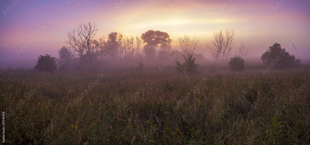 misty and colorful sunrise on a wild meadow misty and colorful sunrise on a wild meadow
