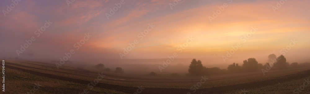 foggy and colorful sunrise on the field in summer