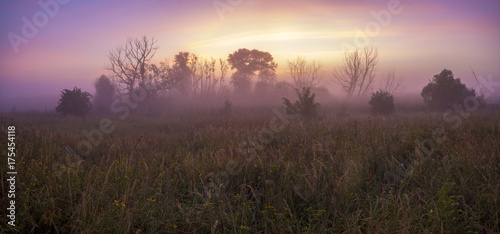 misty and colorful sunrise on a wild meadow
