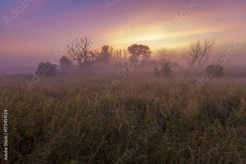 misty and colorful sunrise on a wild meadow