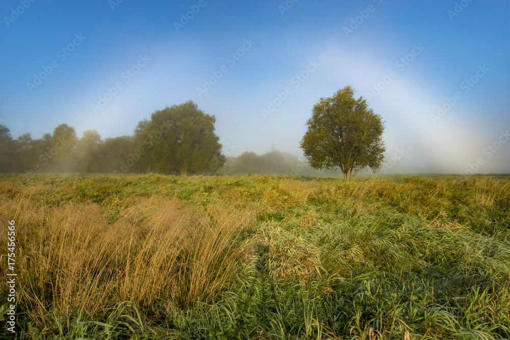 Fog bow,Rainbow fog in the meadow Fog bow,Rainbow fog in the meadow