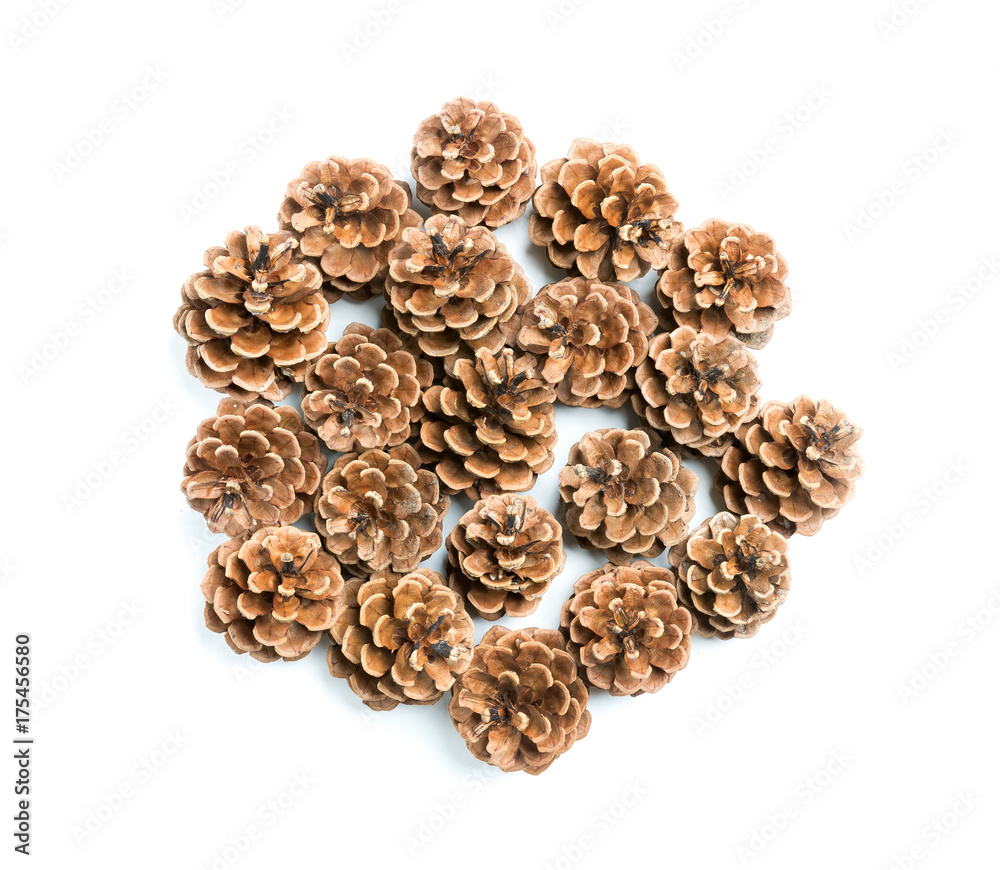 pine cones, flat lay pine cones, flat lay