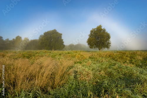 Fog bow,Rainbow fog in the meadow