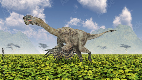 Fototapeta Naklejka Na Ścianę i Meble -  Theropoder Dinosaurier Citipati