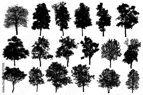 Collection Of Silhouette Of tree Isolated On White Background