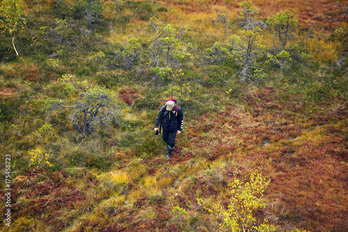 Latvia. Beautiful colors in the swamp Kemeri.