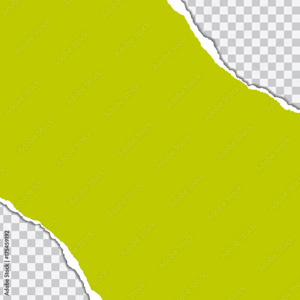 vector realistic illustration of green torn paper with shadow on transparent background