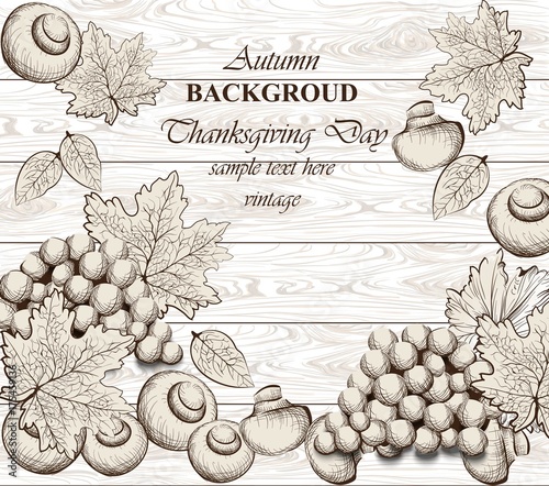 Vegetables on wood background. Vector background. Line art hand drawn graphic...