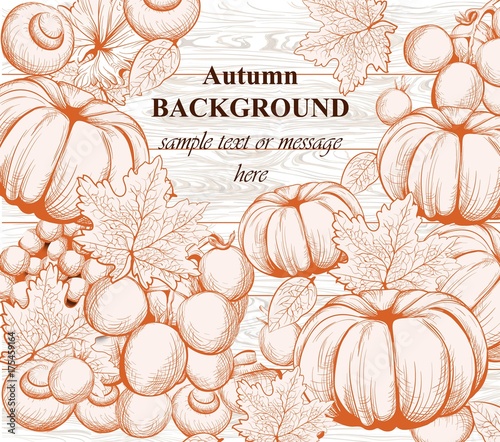 Pumpkin and Vegetables on wood background. Vector background. Line art hand d...