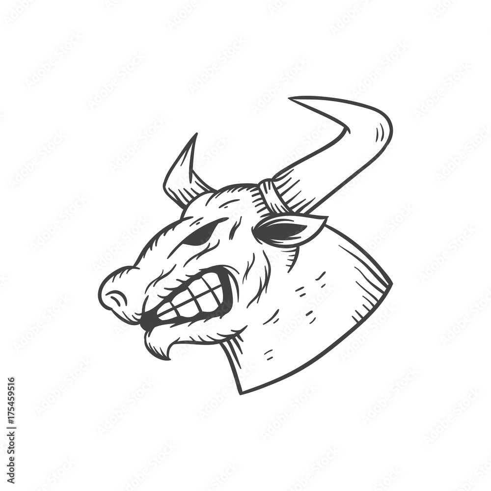 bull head vector illustration bull head vector illustration